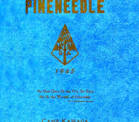 1945 Pineneedle
